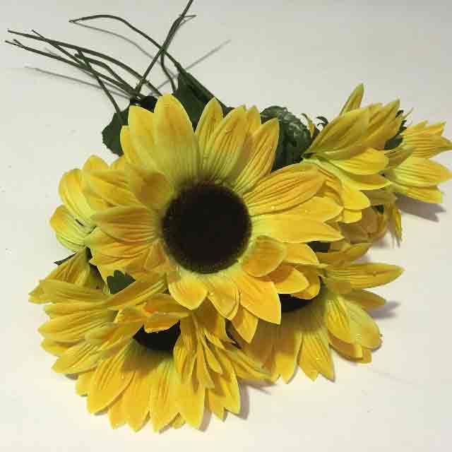 FLOWER, Sunflower